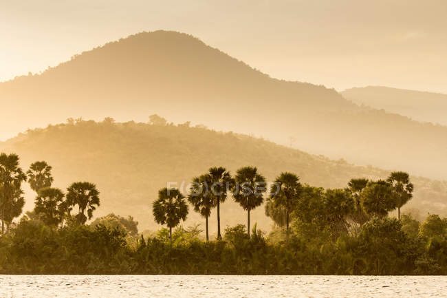 Вид на национальный парк Бокор — стоковое фото