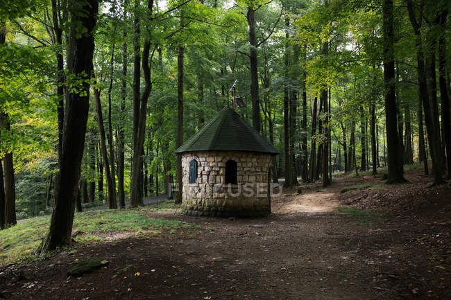 Little brick hut in coopers rock state forest — Stock Photo