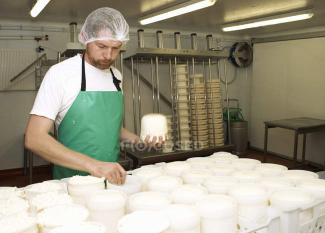 Cheesemaker sostiene cuajada moldeada en fábrica de la granja - foto de stock