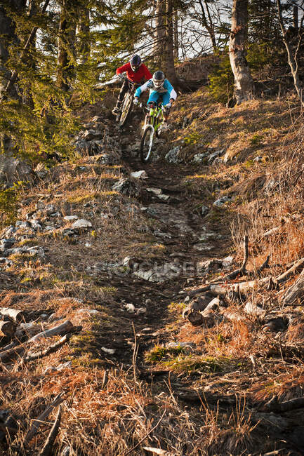 Homens mountain bike através da floresta — Fotografia de Stock