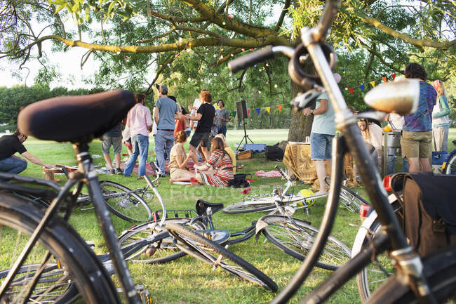Щасливий дорослий натовп на вечірці заходу сонця в парку — стокове фото