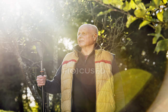 Senior man holding rake — Stock Photo