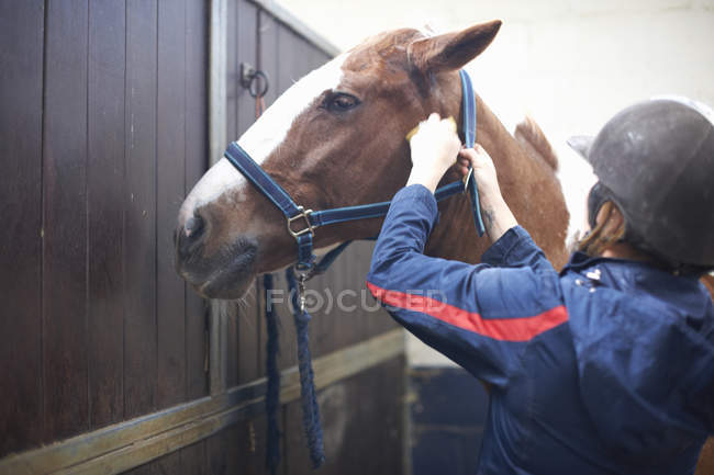 Mujer joven ajustando la brida del caballo - foto de stock