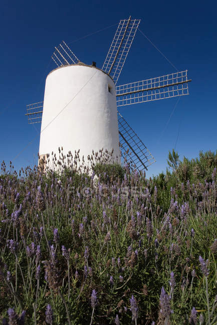 Vue du moulin à vent Sa Punta — Photo de stock