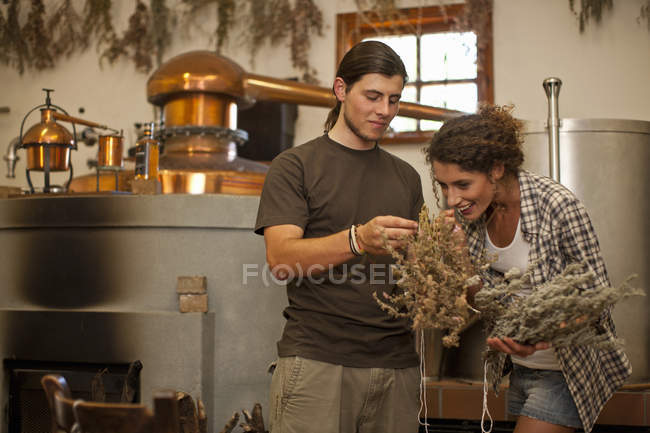 Hombre y mujer oliendo granos en la destilería - foto de stock