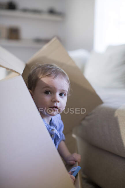 Menino em caixa de papelão espreitando — Fotografia de Stock