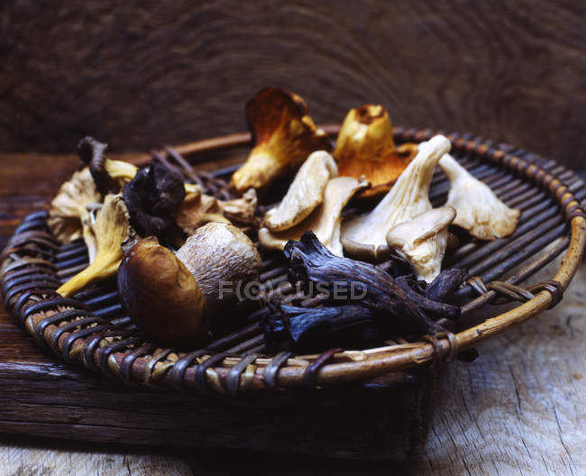 Organic wild mushrooms in woven tray on wood — Stock Photo