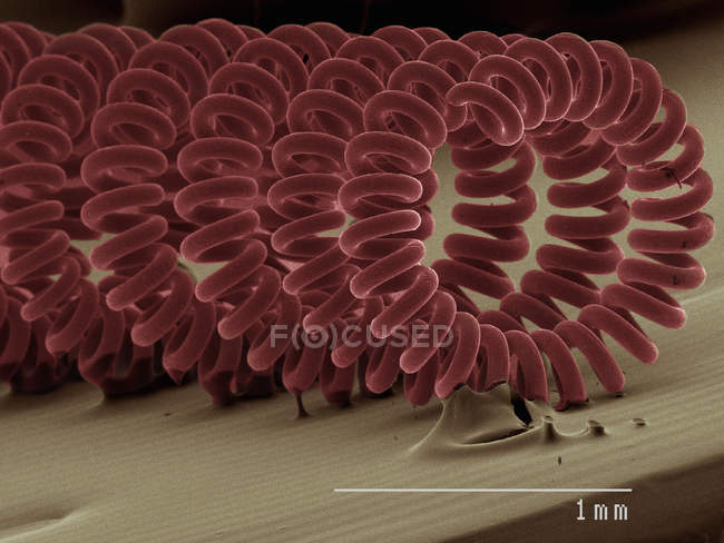 Coloured scanning electron micrograph of projector bulb filament — Stock Photo