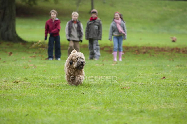 Собака біжить у парку, четверо дітей стоять на задньому плані — стокове фото