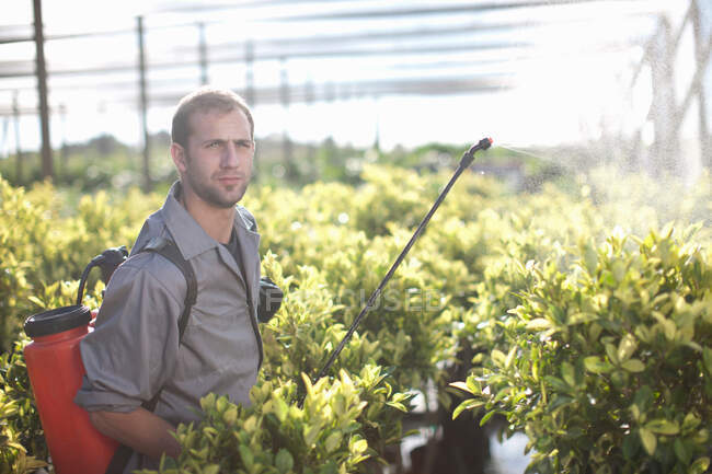 Молодий чоловік розпилює пестициди в розпліднику рослин — стокове фото