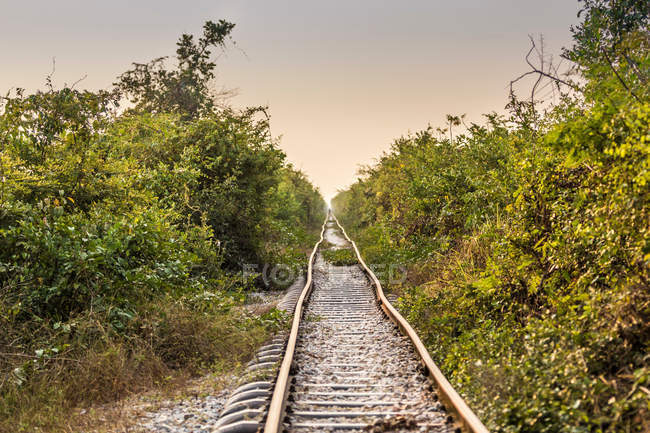 Veduta della ferrovia di bambù — Foto stock