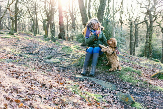 Woman giving treat to puppy in forest — Stock Photo