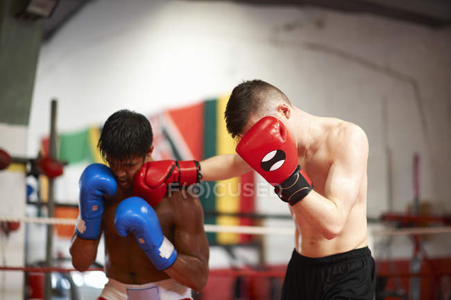 Zwei Boxer Sparring im Boxring — Stockfoto