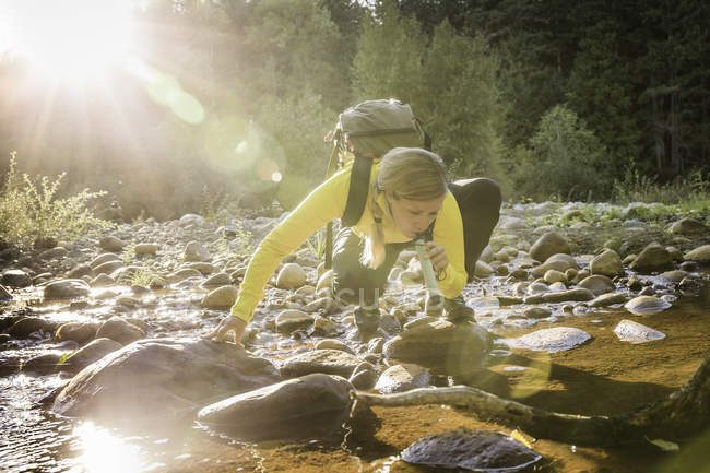 Женщина-туристка пьет речную воду с помощью фильтра для воды в Провинциальном парке Энглишман-Ривер-Фолс, остров Ванкувер, Британская Колумбия, Канада — стоковое фото