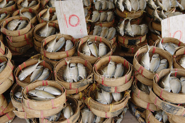 Mercado de pescado, Bangkok, Tailandia - foto de stock