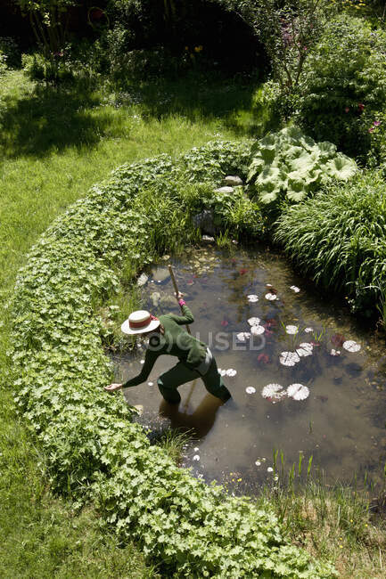 High angle view of mature woman in garden cleaning out pond — Stock Photo