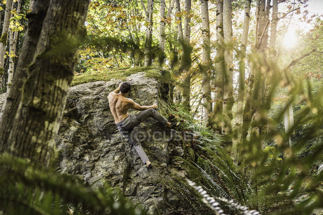 Boulderer maschio che sale il masso forestale, Horne Lake Caves Provincial Park, Vancouver Island, British Columbia, Canada — Foto stock