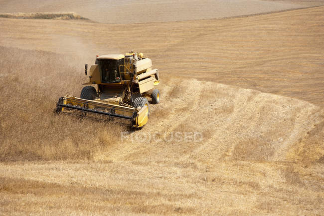 Harvester at work in crop fields — Stock Photo