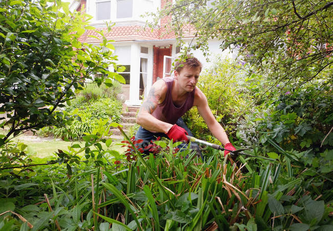Зрілий чоловік, садівництво, використовуючи садові ножиці — стокове фото