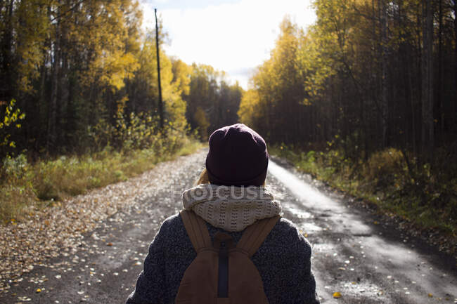 Senderismo de mujer joven, en camino de campo vacío, vista trasera, Óblast de Sverdlovsk, Rusia - foto de stock
