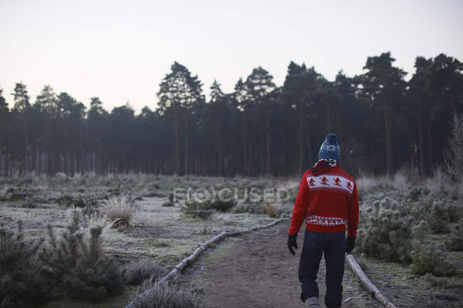 Vue arrière de l'homme marchant dans la scène hivernale rurale — Photo de stock