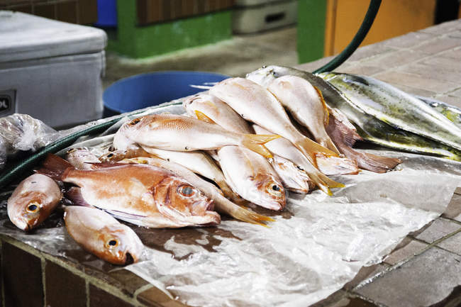 Selection of fresh caught fish on market stall — Stock Photo