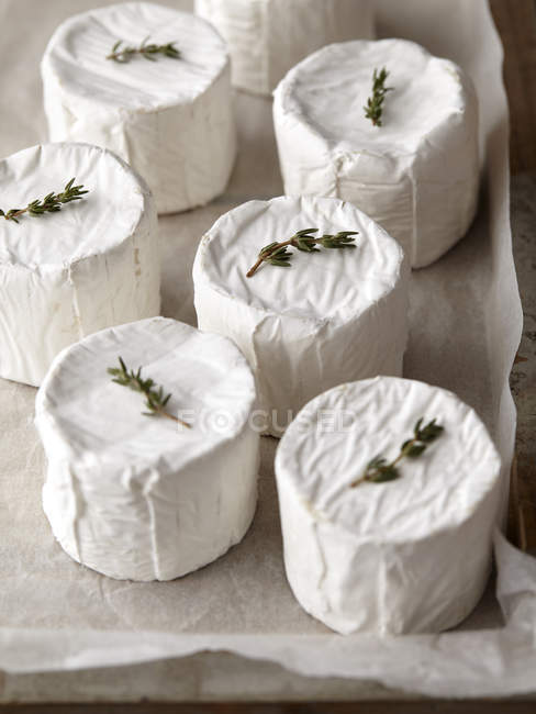 Rondes de fromage de chèvre avec thym sur le dessus — Photo de stock