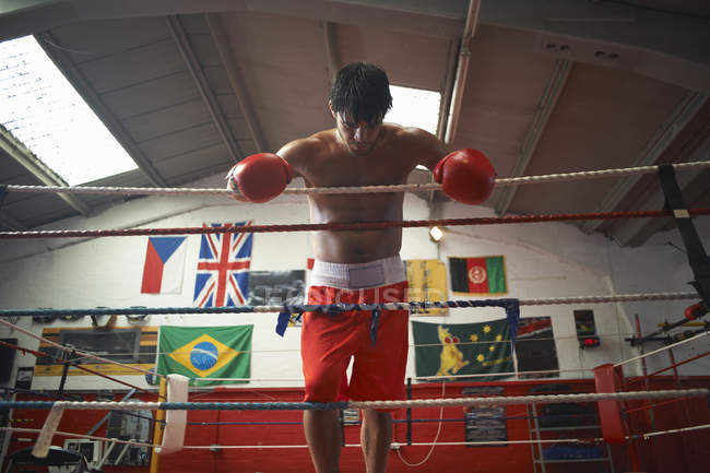 Boxeador apoyado en las cuerdas del anillo de boxeo - foto de stock