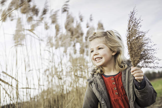 Young girl collecting marsh grasses — Stock Photo