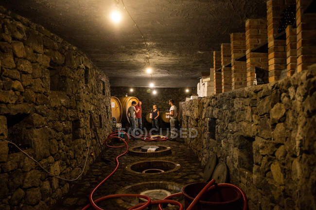 Travailleurs d'été dans la cave à vin du vignoble — Photo de stock