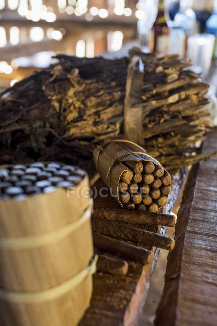 Bundles of packed cuban cigars on wooden surface — Stock Photo