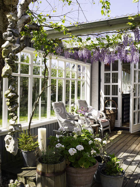 Sedie di vimini e fiori di glicine viola sul patio — Foto stock