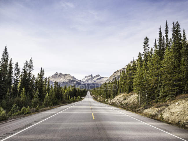 Перегляд Icefields Parkway, шосе 93 Lake Louise, Альберта, Канада — стокове фото