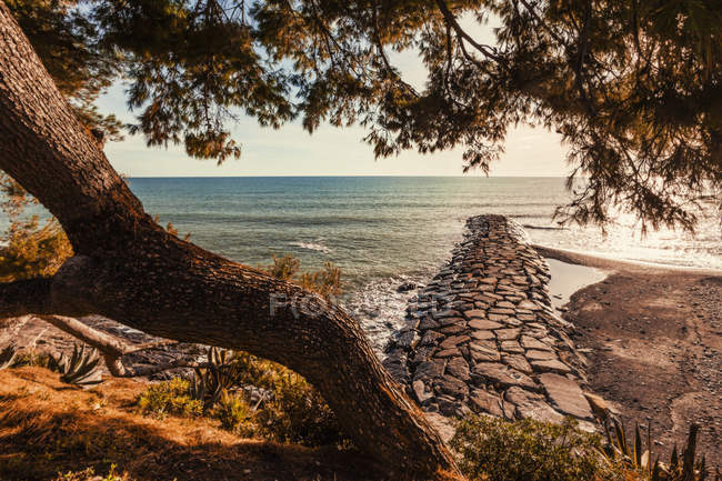 Vista panorámica de Cervo, Liguria, Italia - foto de stock