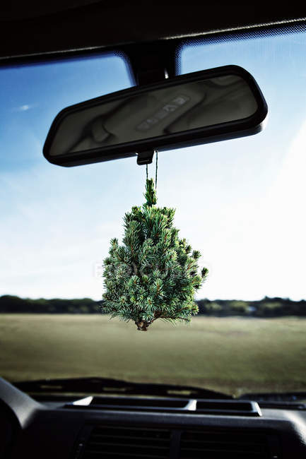 Evergreen tree on rearview mirror — Stock Photo