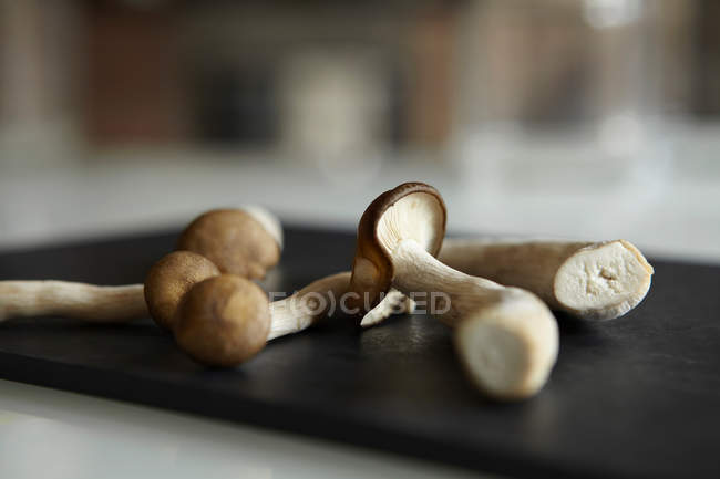 Cogumelos na tábua de corte — Fotografia de Stock