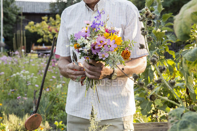 Uomo anziano in giardino che tiene mazzo di fiori recisi freschi — Foto stock