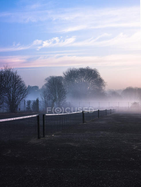 Rangée de filets de tennis dans le parc brumeux au lever du soleil — Photo de stock