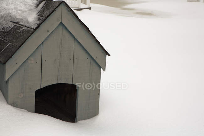 Dog kennel in snow — Stock Photo