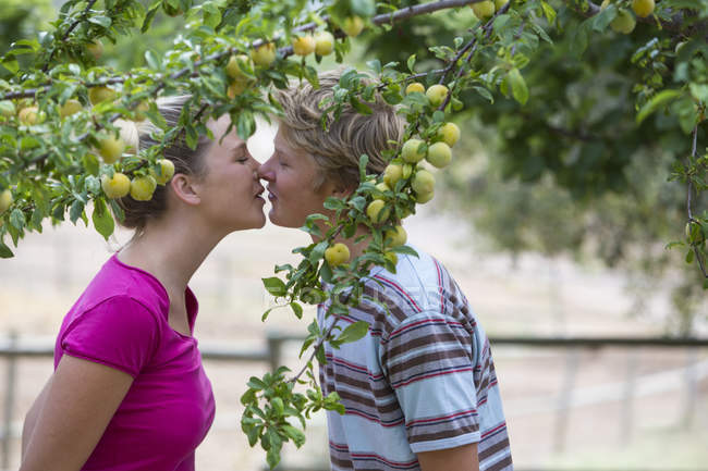 Romantique jeune couple embrasser sous prunier sur la ferme biologique — Photo de stock