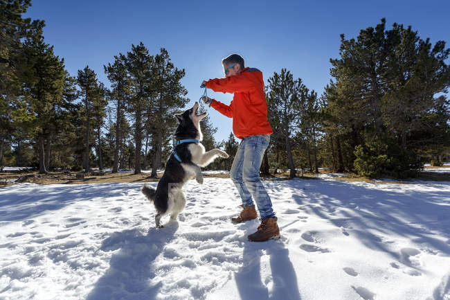 Homem maduro brincando com o cão na floresta coberta de neve — Fotografia de Stock