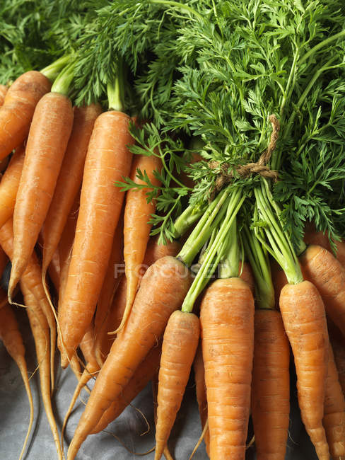Frische Möhren mit Karottenspitzen, mit Schnur gebunden, Nahaufnahme — Stockfoto