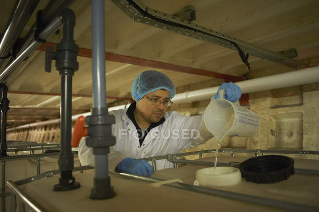 Worker wearing hair net pouring liquid from jug into water tank — Stock Photo