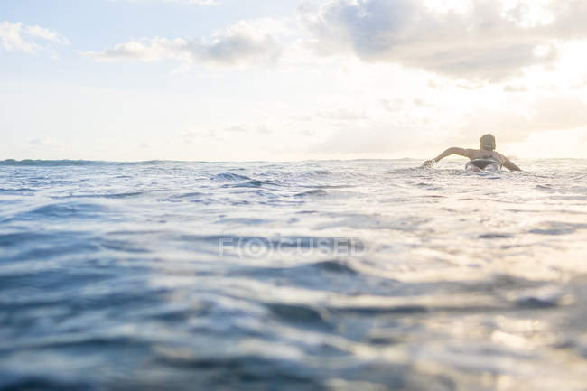 Rückansicht einer Frau, die auf einem Surfbrett im Meer paddelt, nosara, Provinz Guanacaste, Costa Rica — Stockfoto