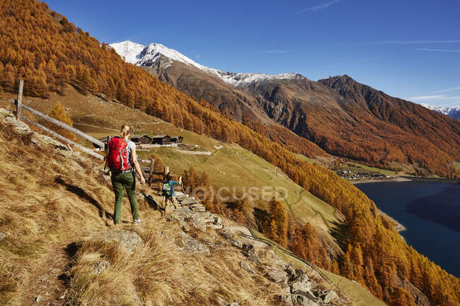 Randonnée en famille, vue arrière, Schnalstal, Tyrol du Sud, Italie — Photo de stock