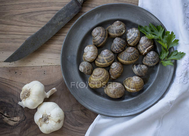 Vista dall'alto di gusci di lumaca e aglio sul tavolo — Foto stock