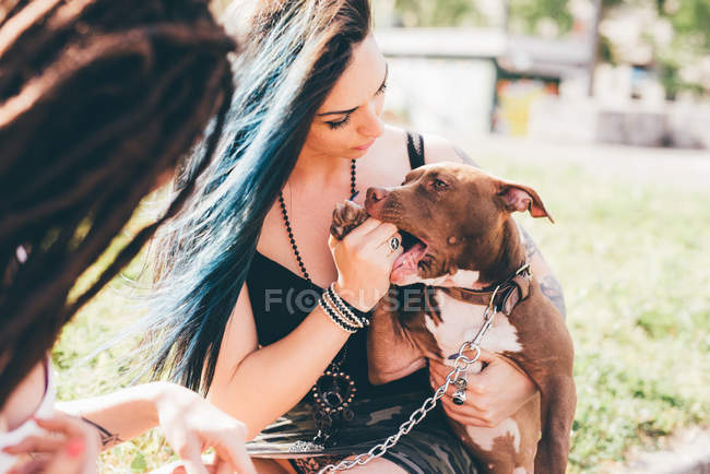 Jovens mulheres com cabelos azuis tingidos brincando com pit bull terrier no parque urbano — Fotografia de Stock