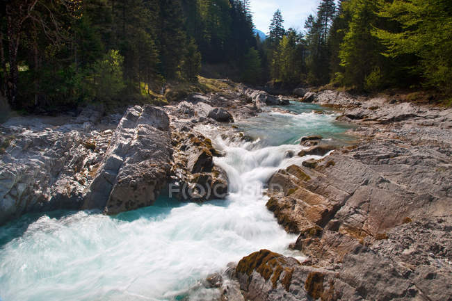 Rocky creek in forest — Stock Photo
