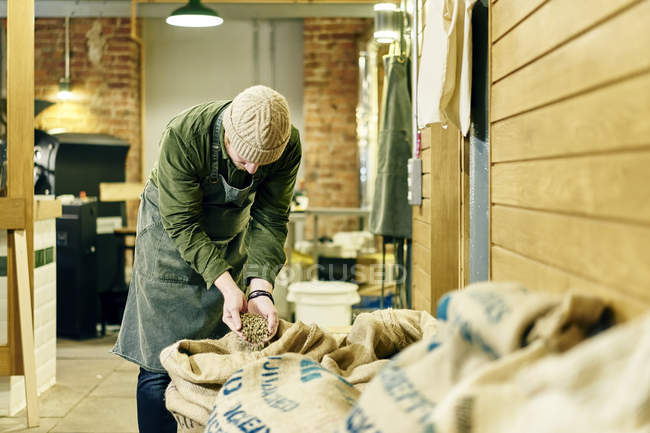 Hombre trabajador de la cafetería con sacos de granos de café - foto de stock