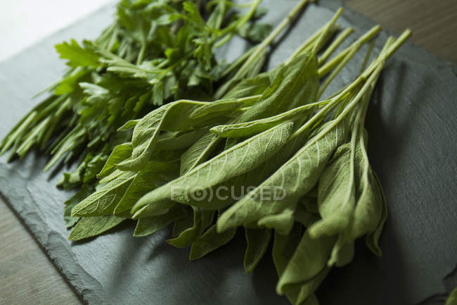 Fresh rosemary, sage and parsley on slate — Stock Photo